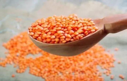 Red Lentils
