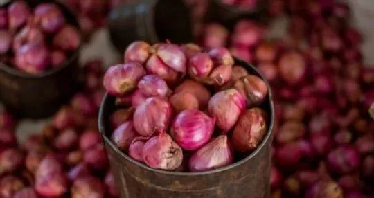 Shallots