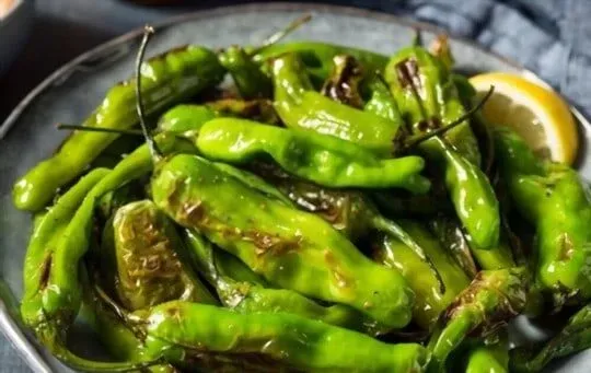 Shishito Peppers