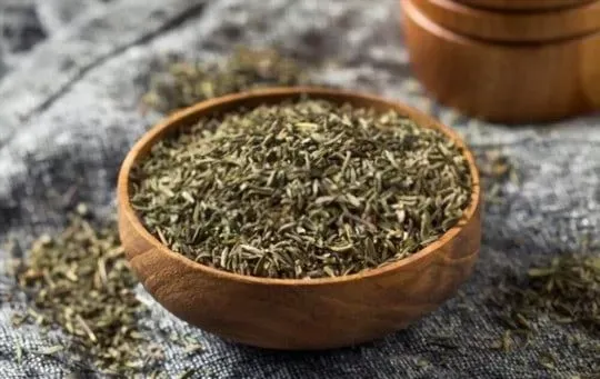 Thyme