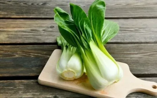 Bok choy