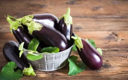 Eggplant