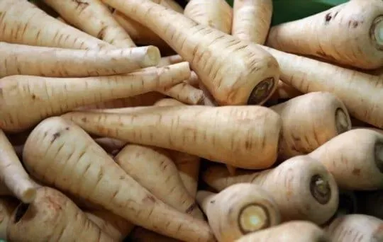 Parsnips