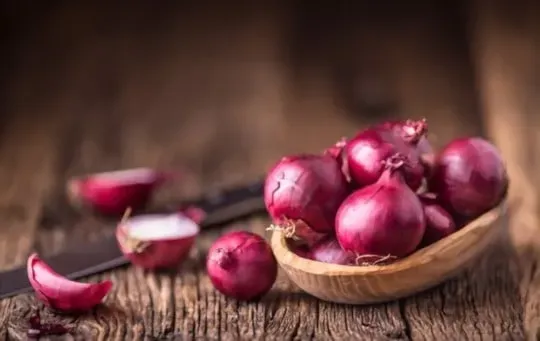 Red Onions