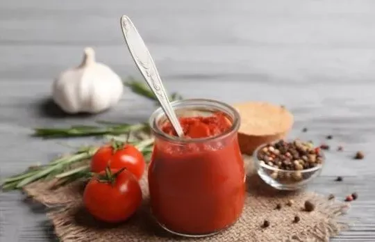 Tomato Paste