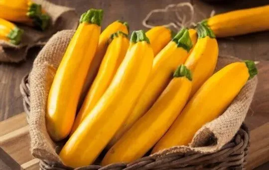 Yellow Squash