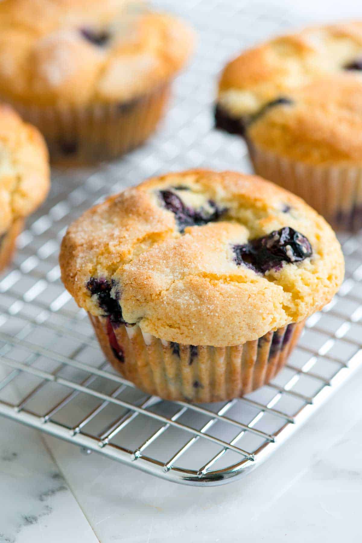 Blueberry Muffin Recipe