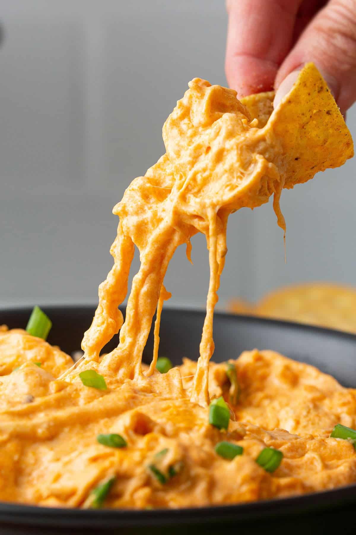 Buffalo Chicken Dip Recipe
