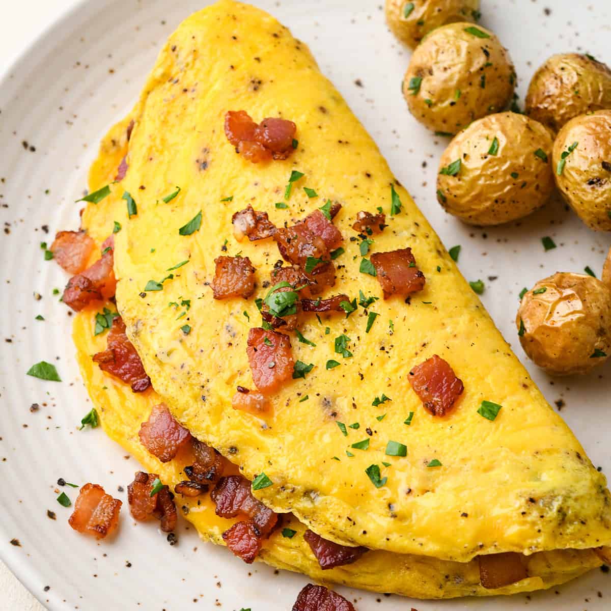 Omelette Recipe