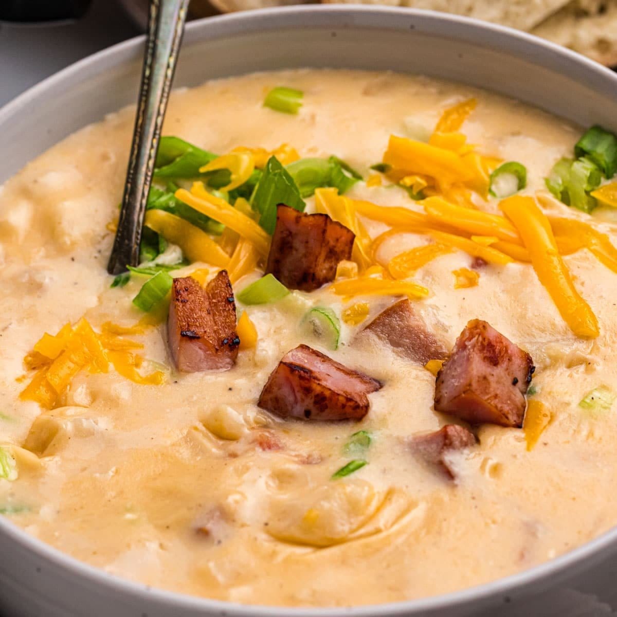 Dump-and-Run Crockpot Ham and Cheese Soup