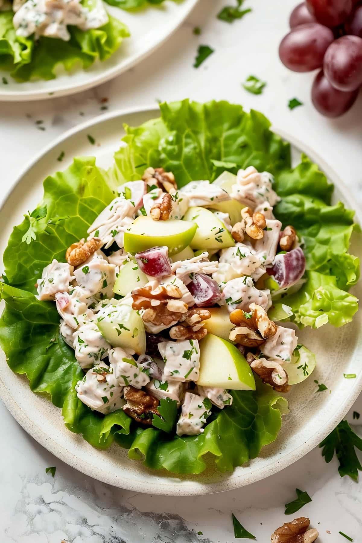 Apple Walnut Chicken Salad