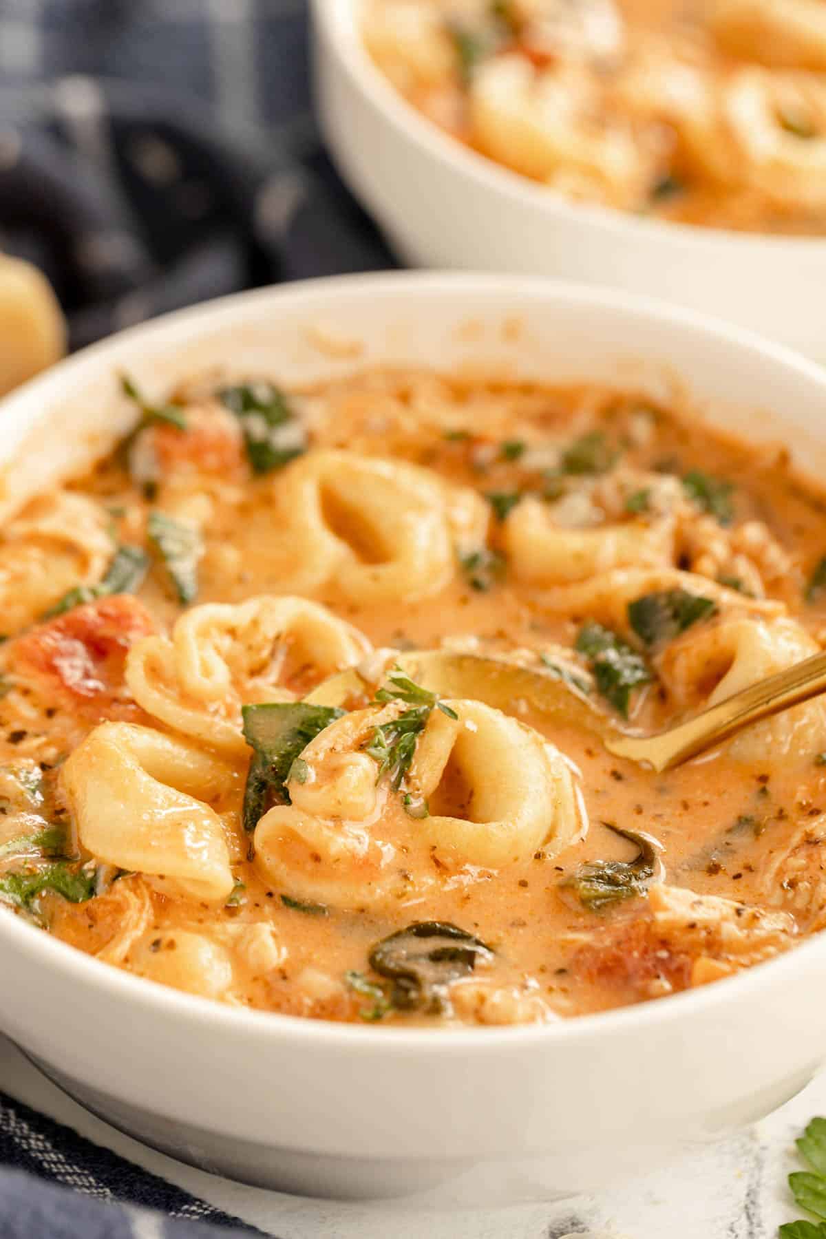 Chicken Tortellini Soup