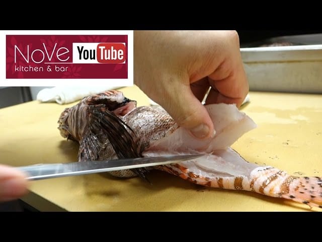 Florida's Dangerous Recipe: Raw Lionfish Sashimi