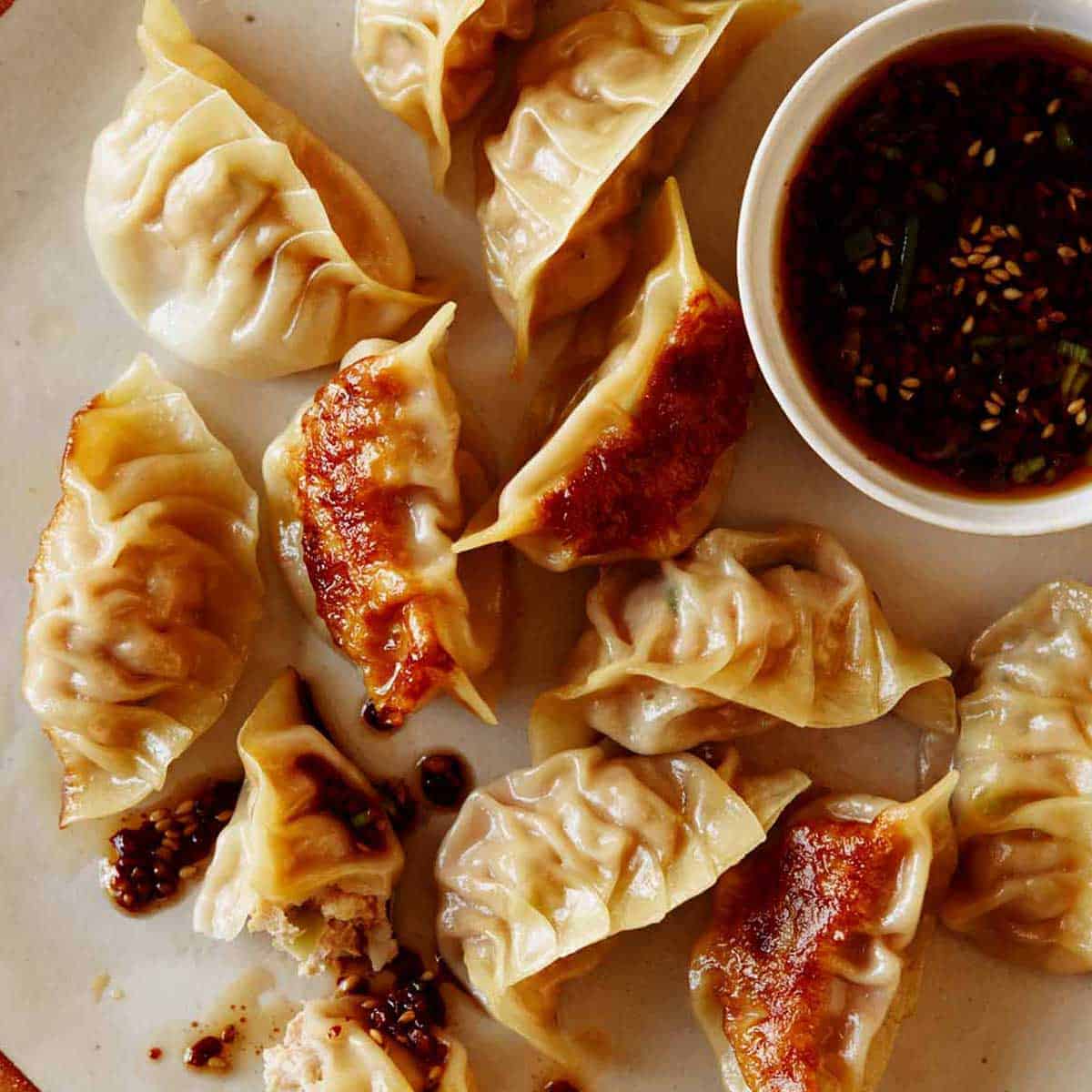Homemade Potstickers