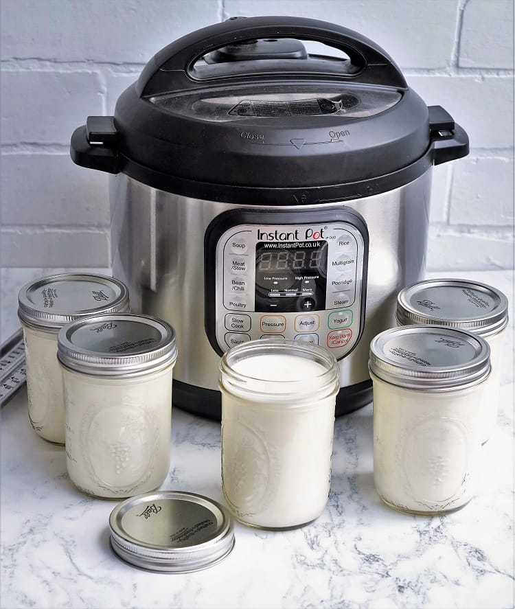 Instant Pot Yogurt
