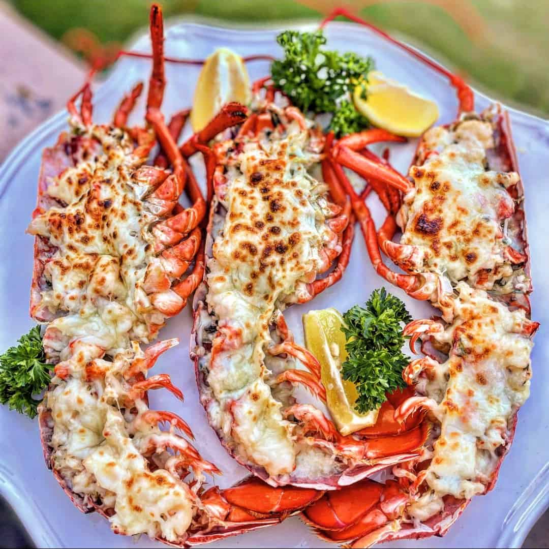 Maine: Lobster Thermidor