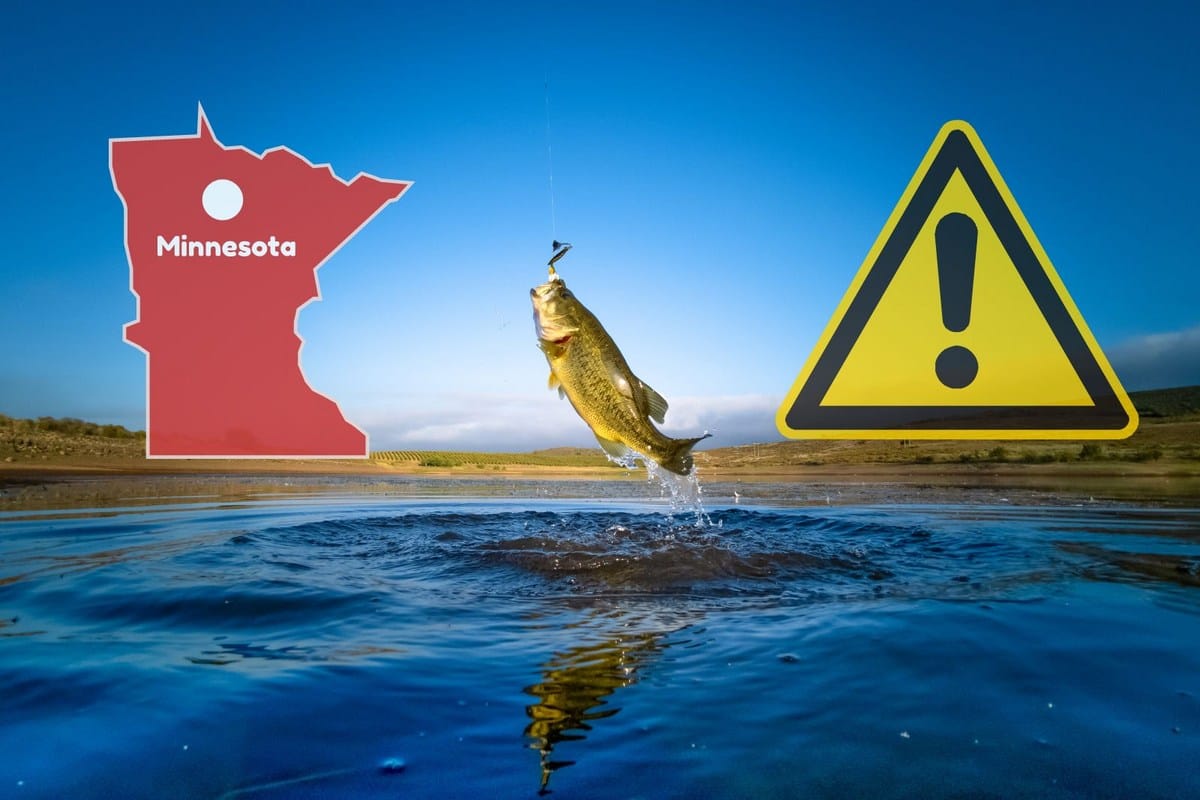 Minnesota's Dangerous Recipe: Undercooked Lake Fish