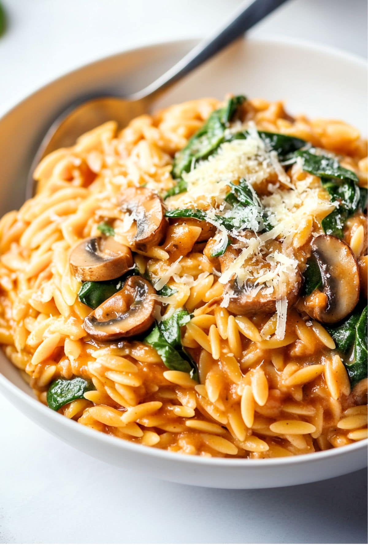 Mushroom Orzo