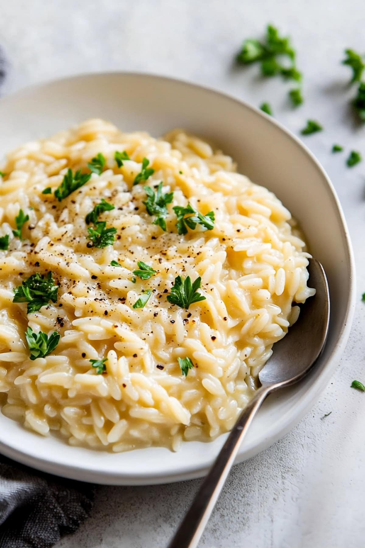 Orzo Risotto