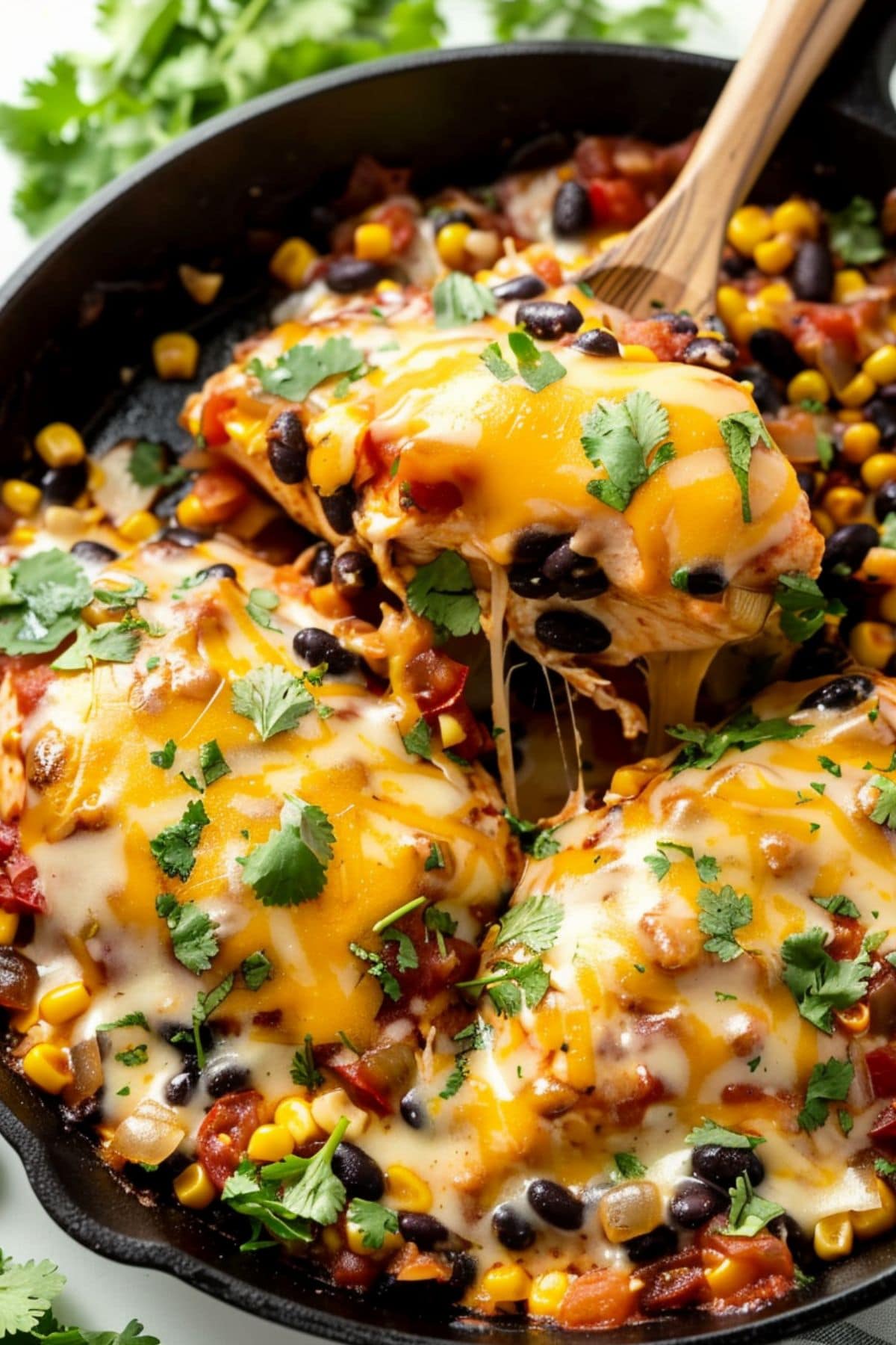 Santa Fe Chicken Skillet