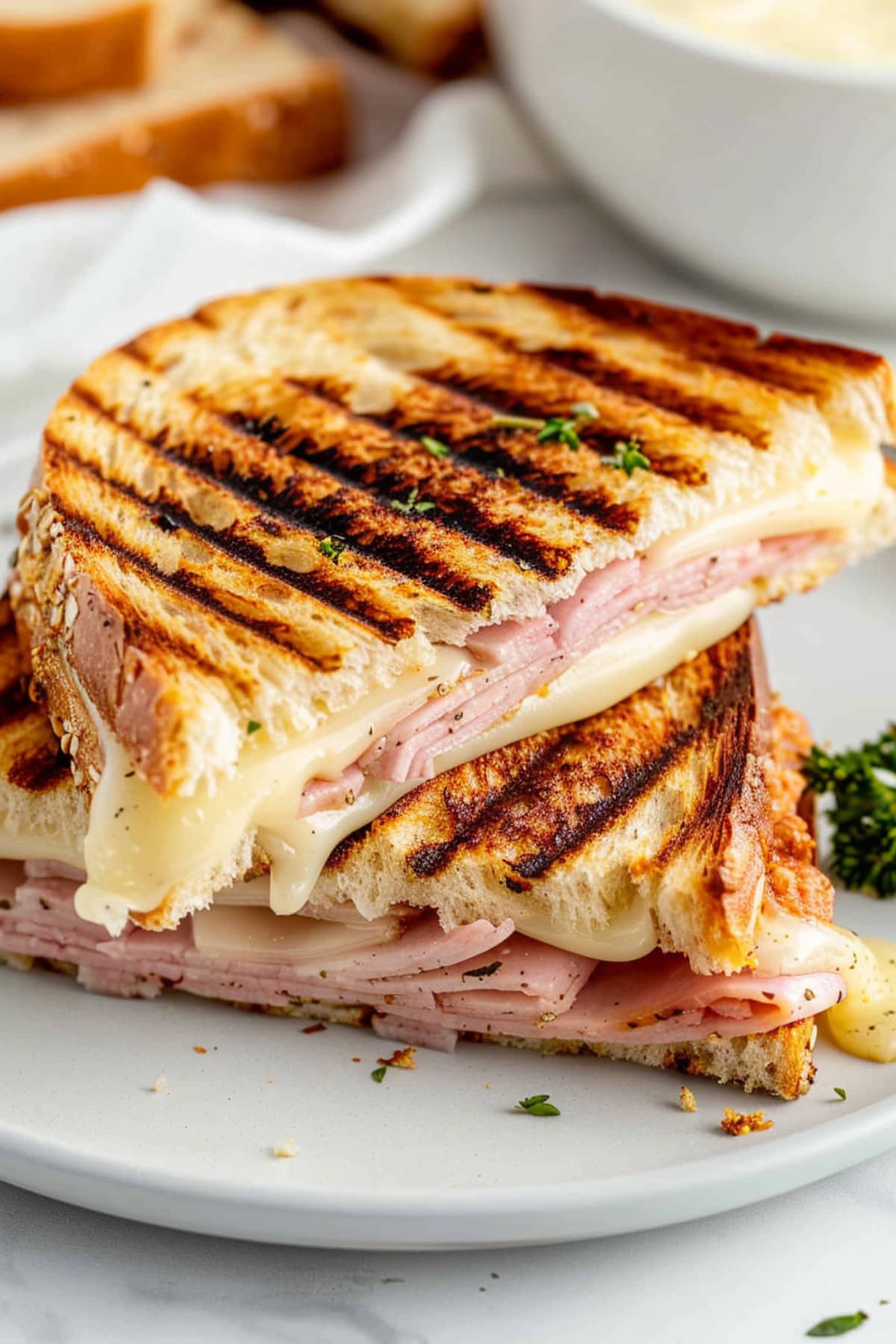 Starbucks Ham and Swiss Panini
