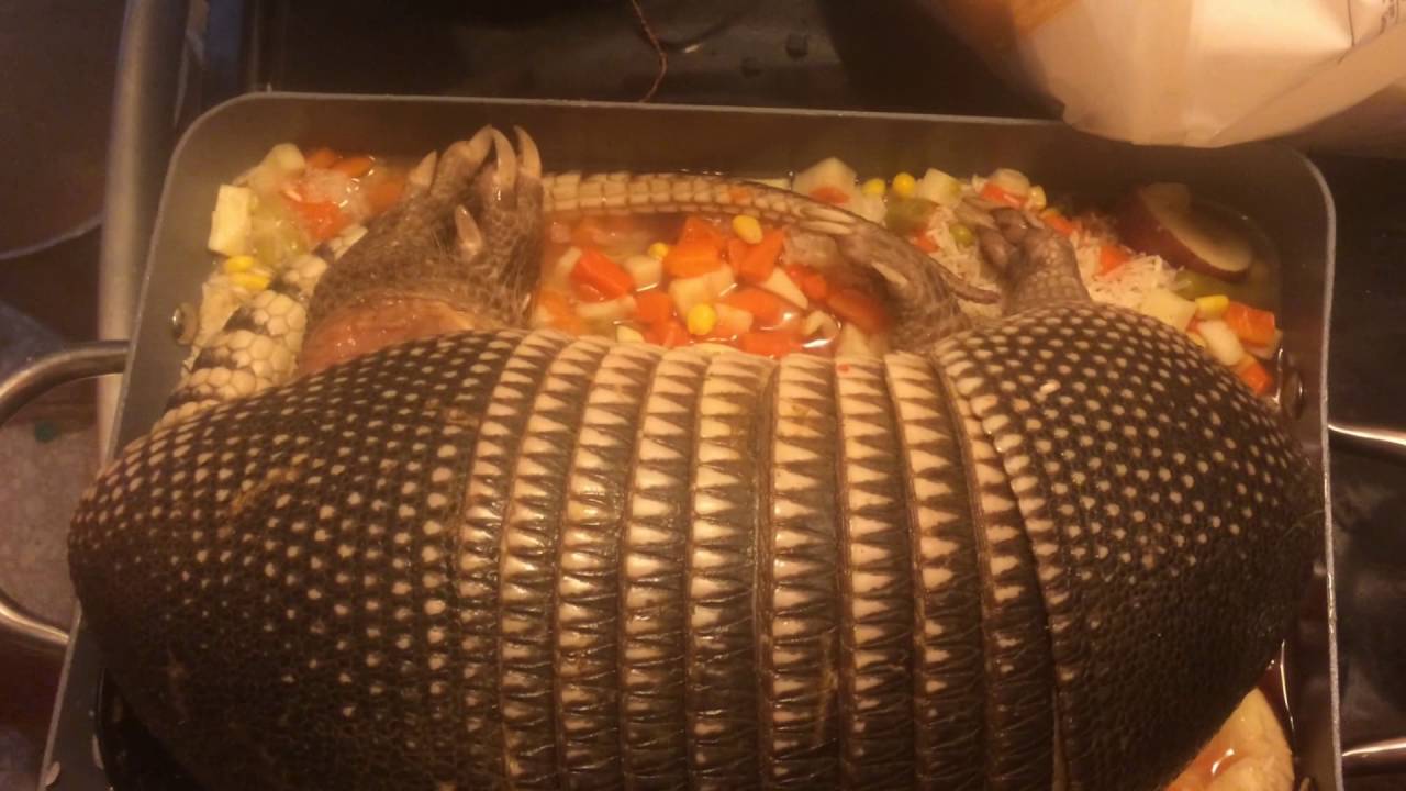 Texas's Dangerous Recipe: Undercooked Armadillo