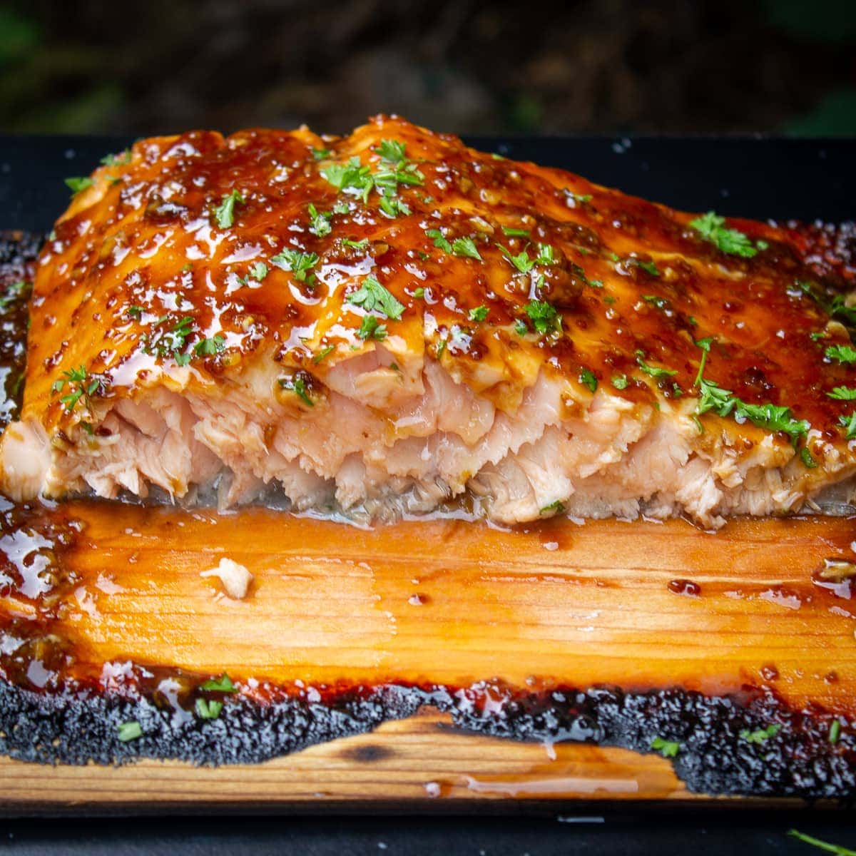 Washington: Cedar-Planked Salmon with Caviar Cream Sauce