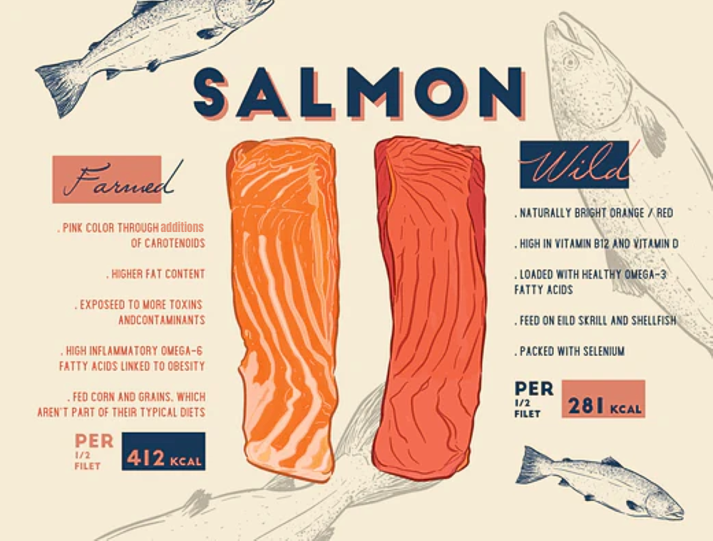 Farmed Salmon