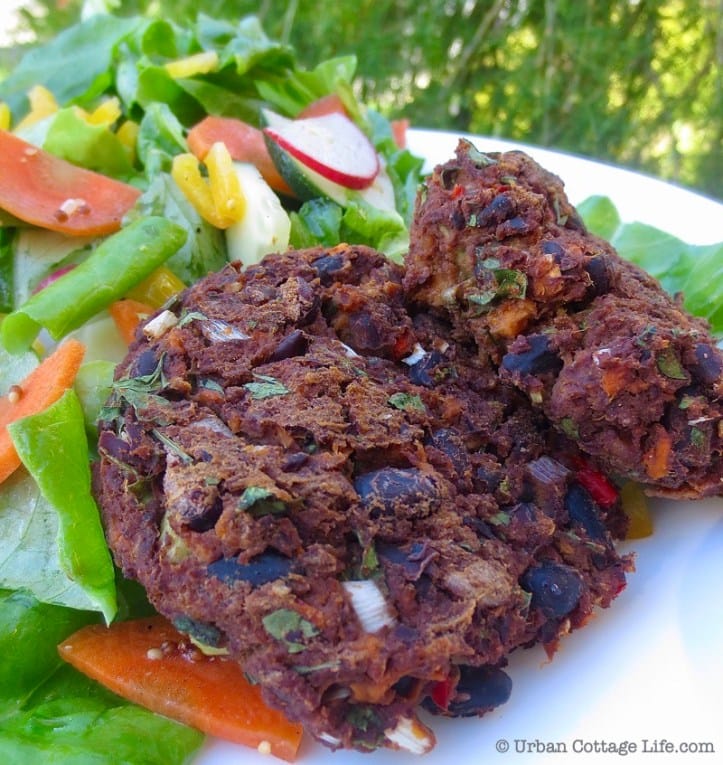 Sweet Potato and Black Bean Rice Cakes