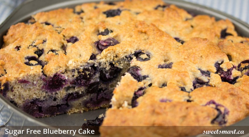 Low Sugar Blueberry Cake