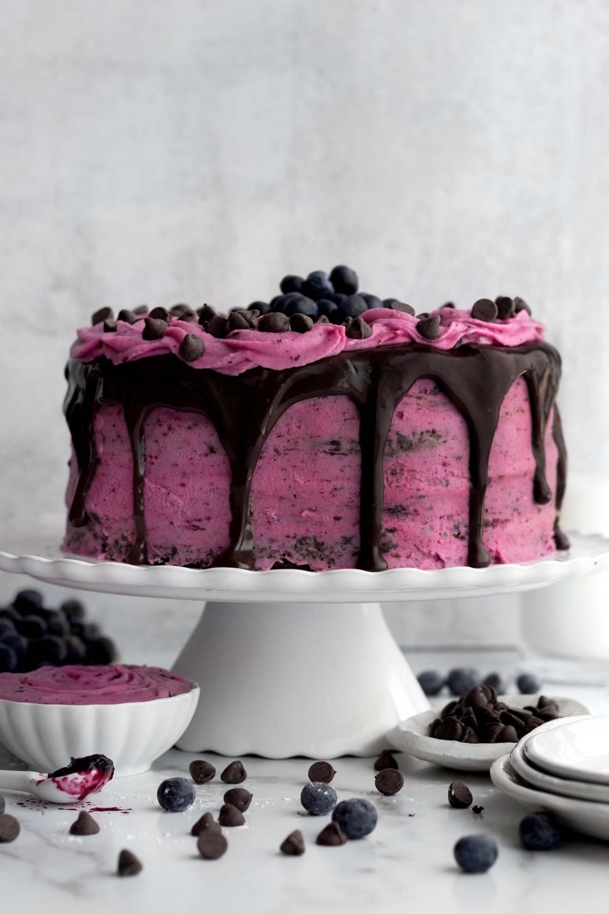 Chocolate Chip Blueberry Cake
