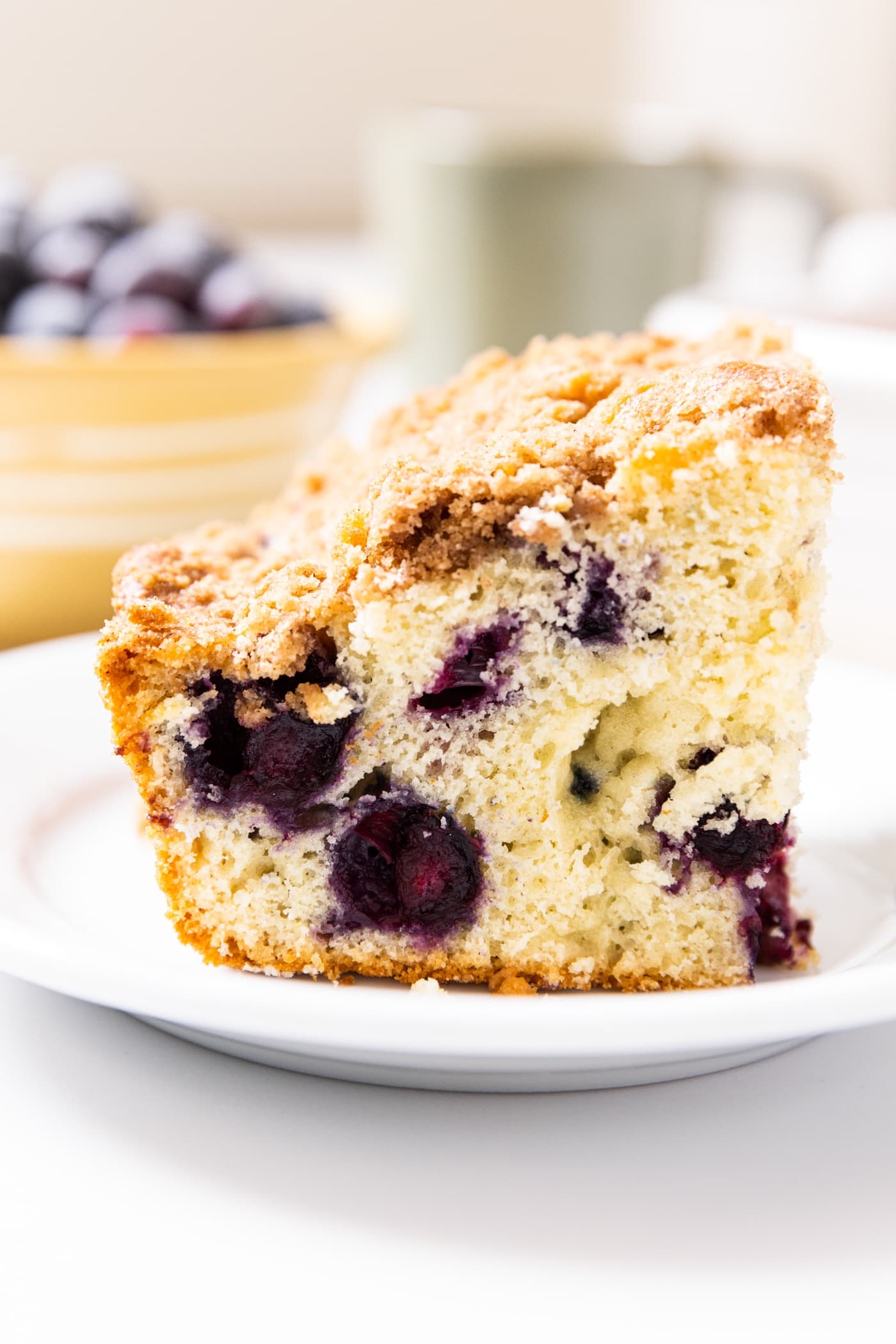 Classic Blueberry Cake
