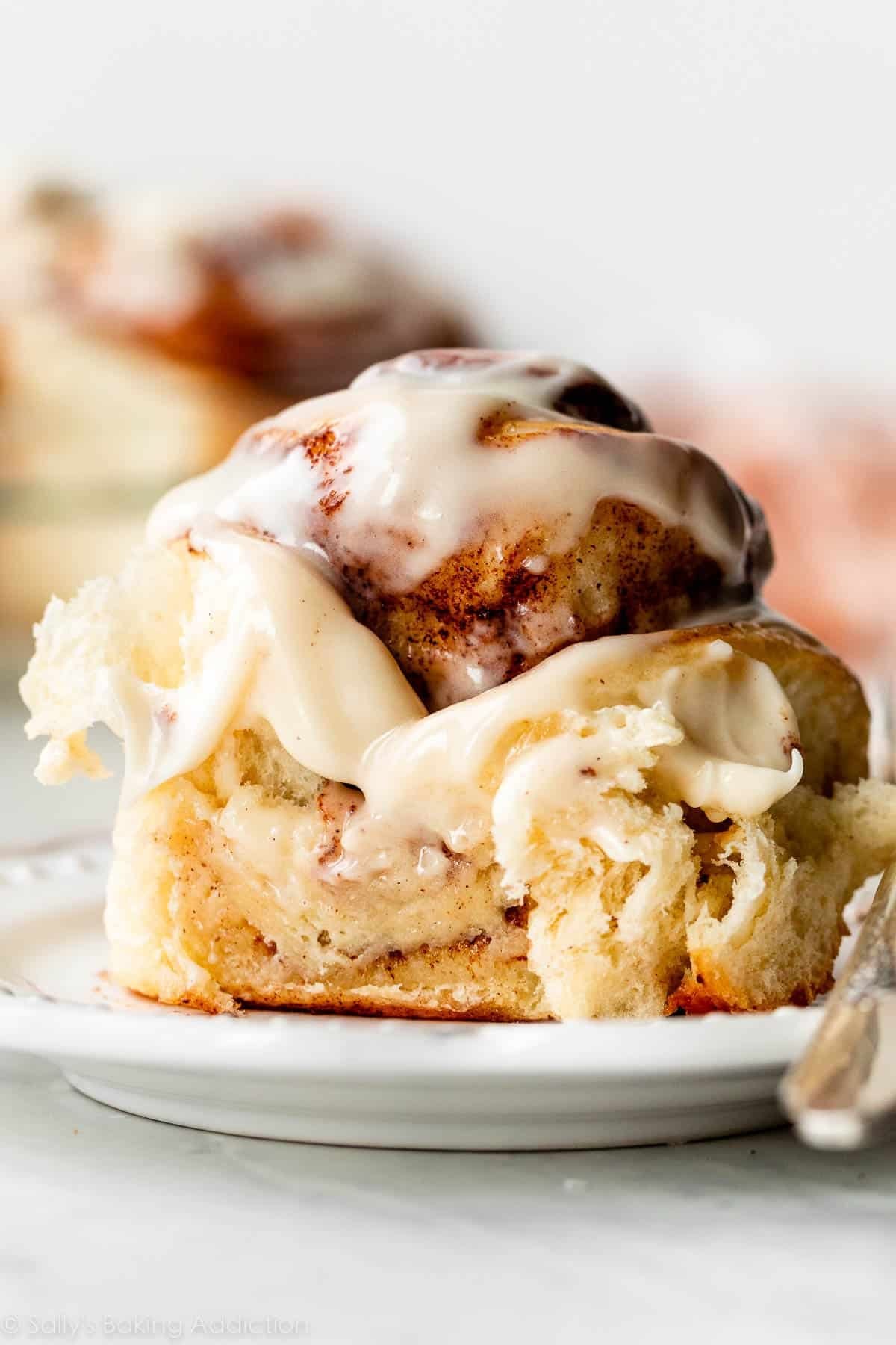 Homemade Cinnamon Rolls Recipe