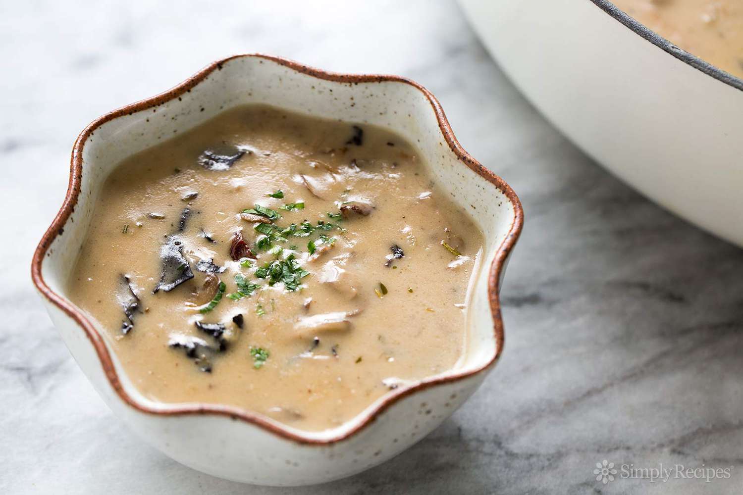 Creamy Wild Mushroom Soup Recipe