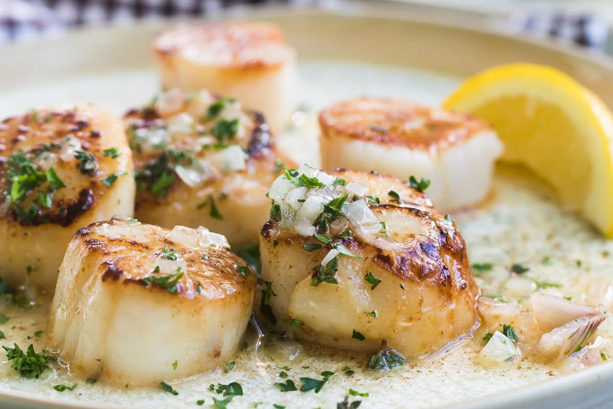 Seared Scallops with Lemon Butter Sauce