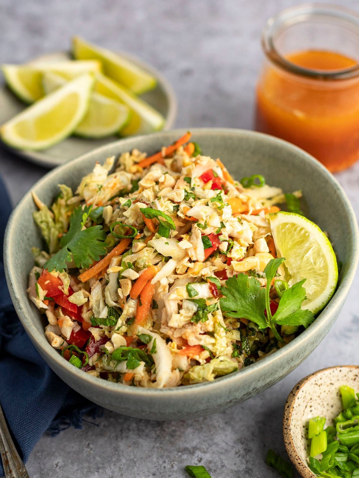 Vietnamese Shredded Chicken Salad