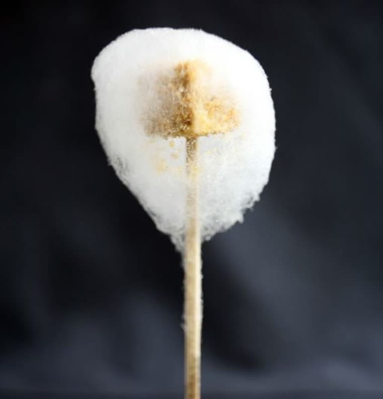 Cotton Candy Foie Gras