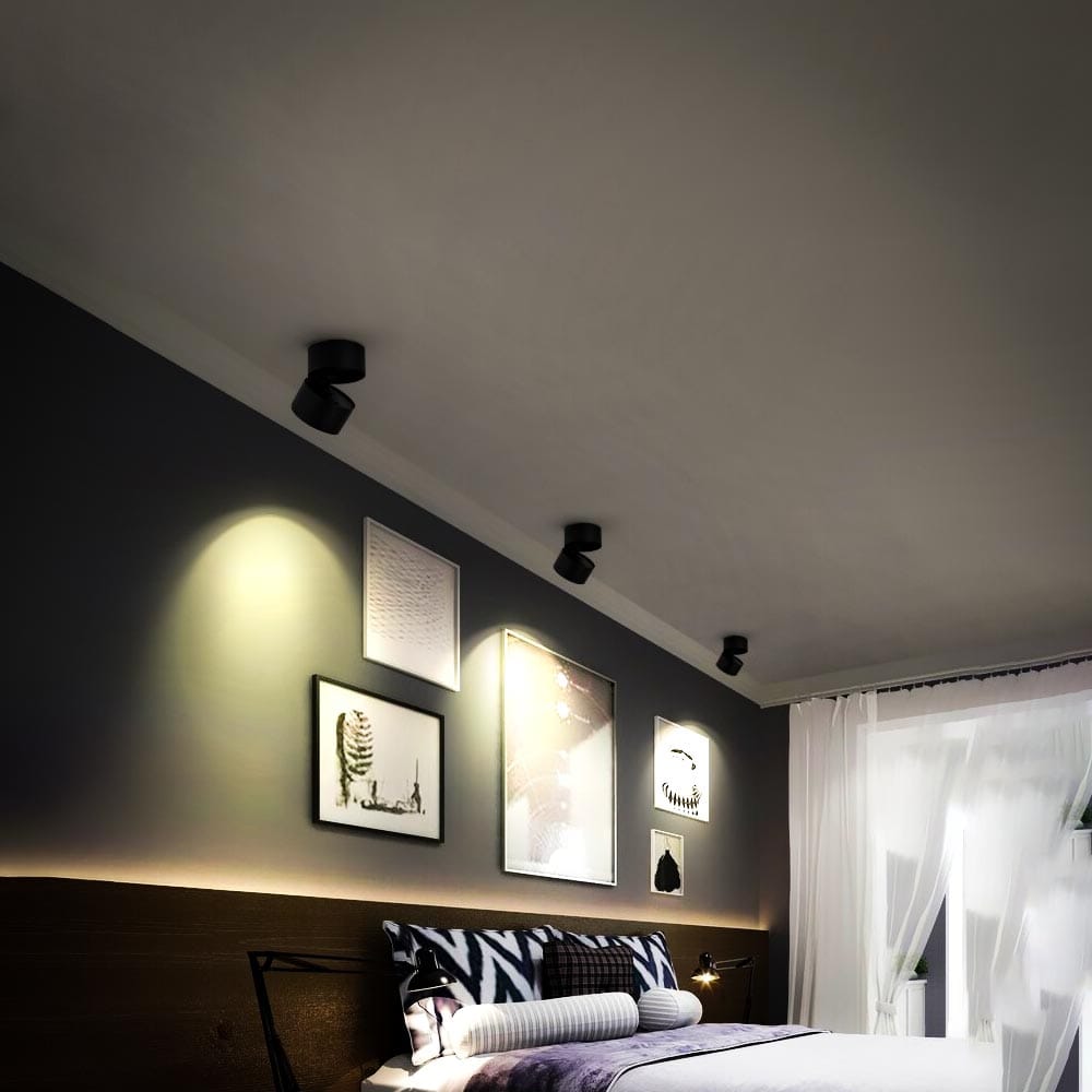 Bedroom lighting with art spotlight