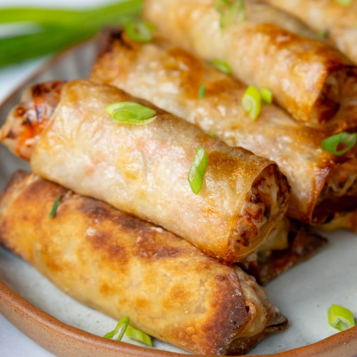 Air Fryer Spring Rolls Recipe