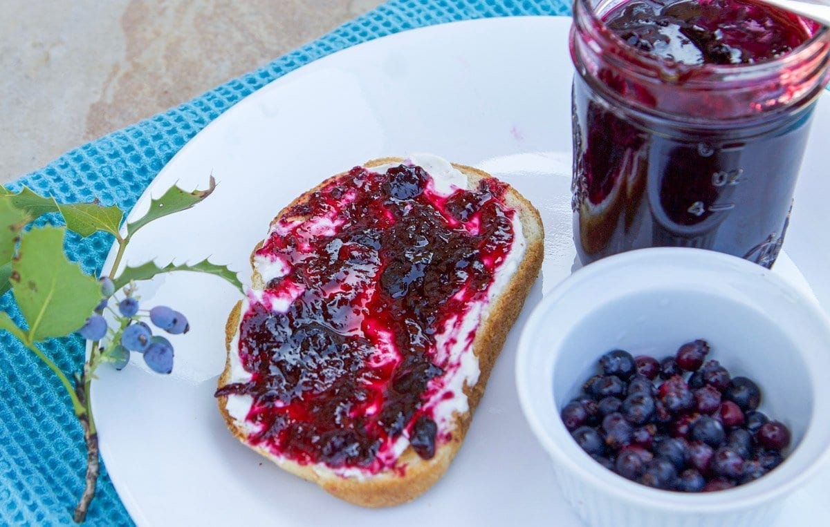 Montana Huckleberry Jam Recipe
