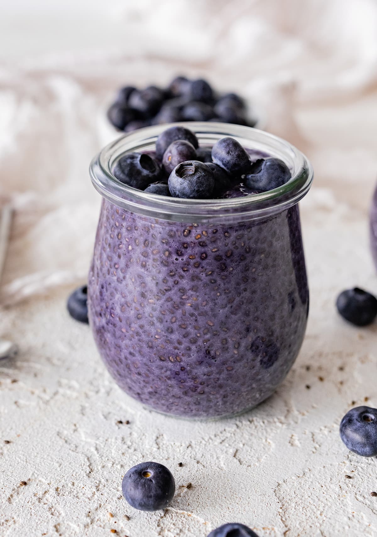 Blueberry Chia Seed Pudding Recipe