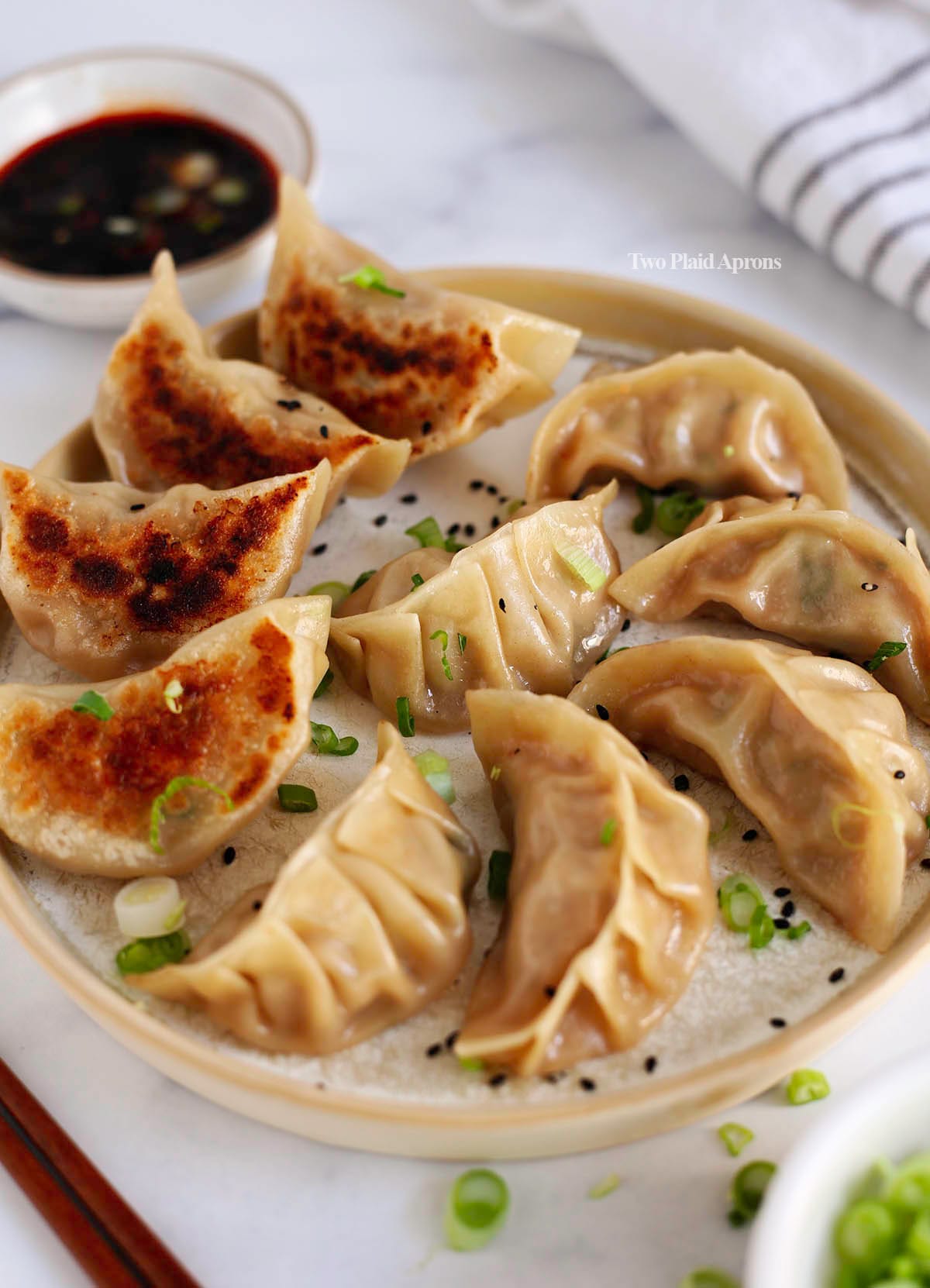 Chinese Dumplings Recipe