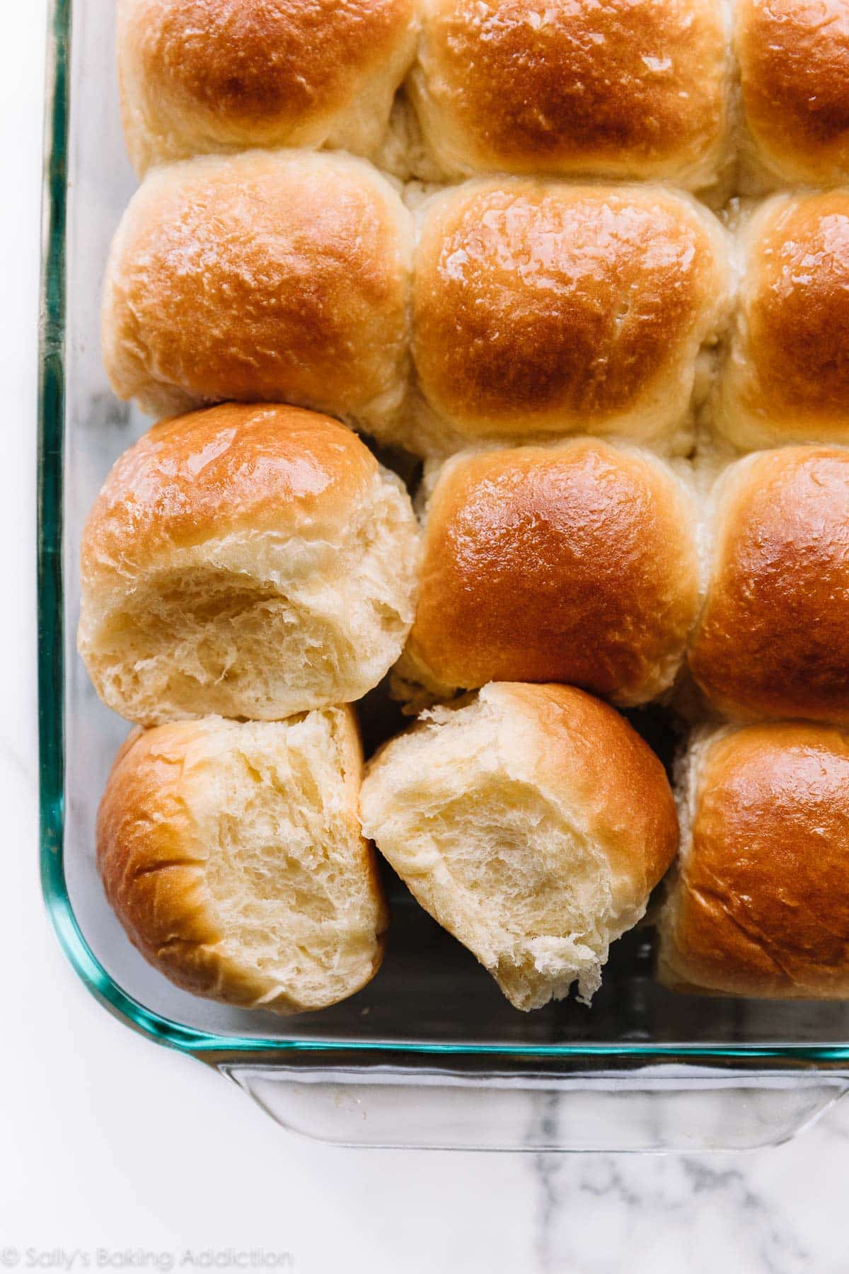 Homemade Dinner Rolls Recipe