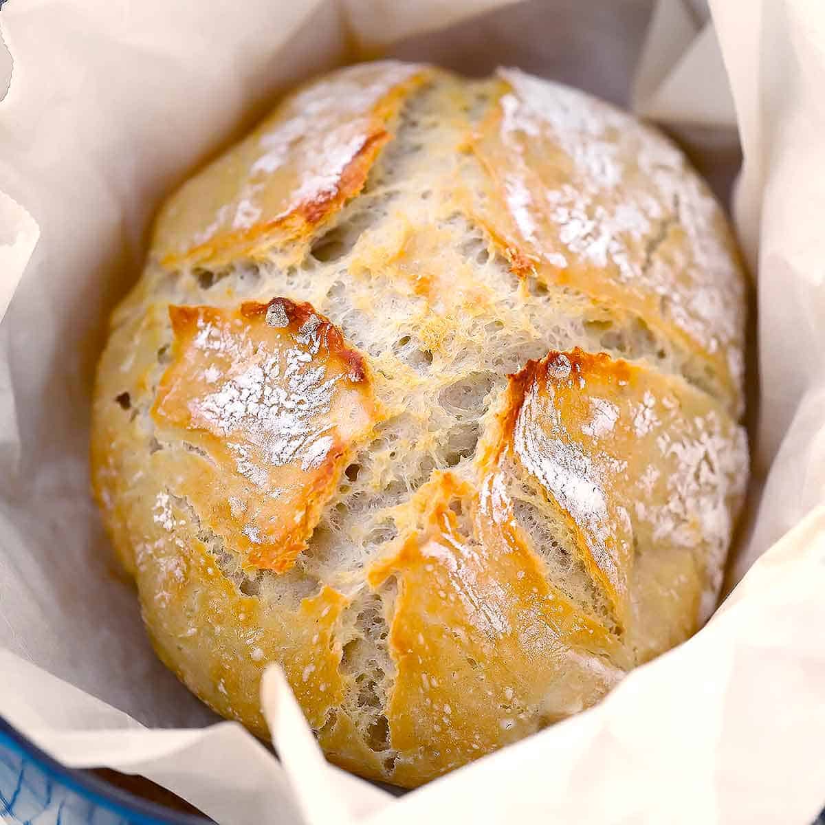 No-Knead Bread Recipe