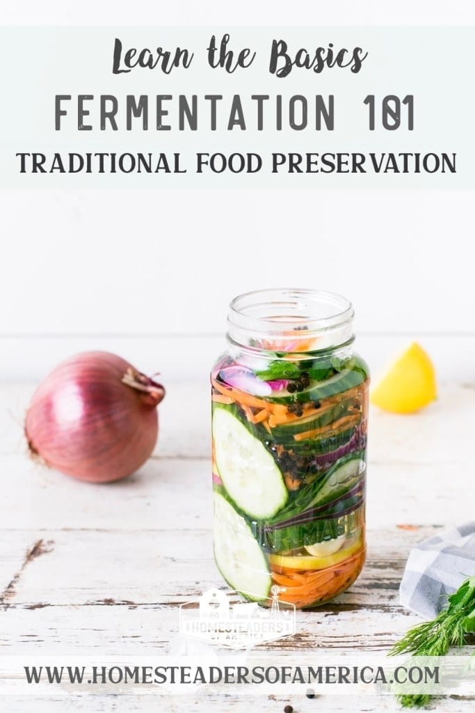 Fermentation Basics Recipe