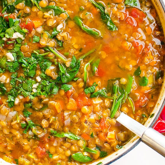 Lentil and Spinach Soup Recipe