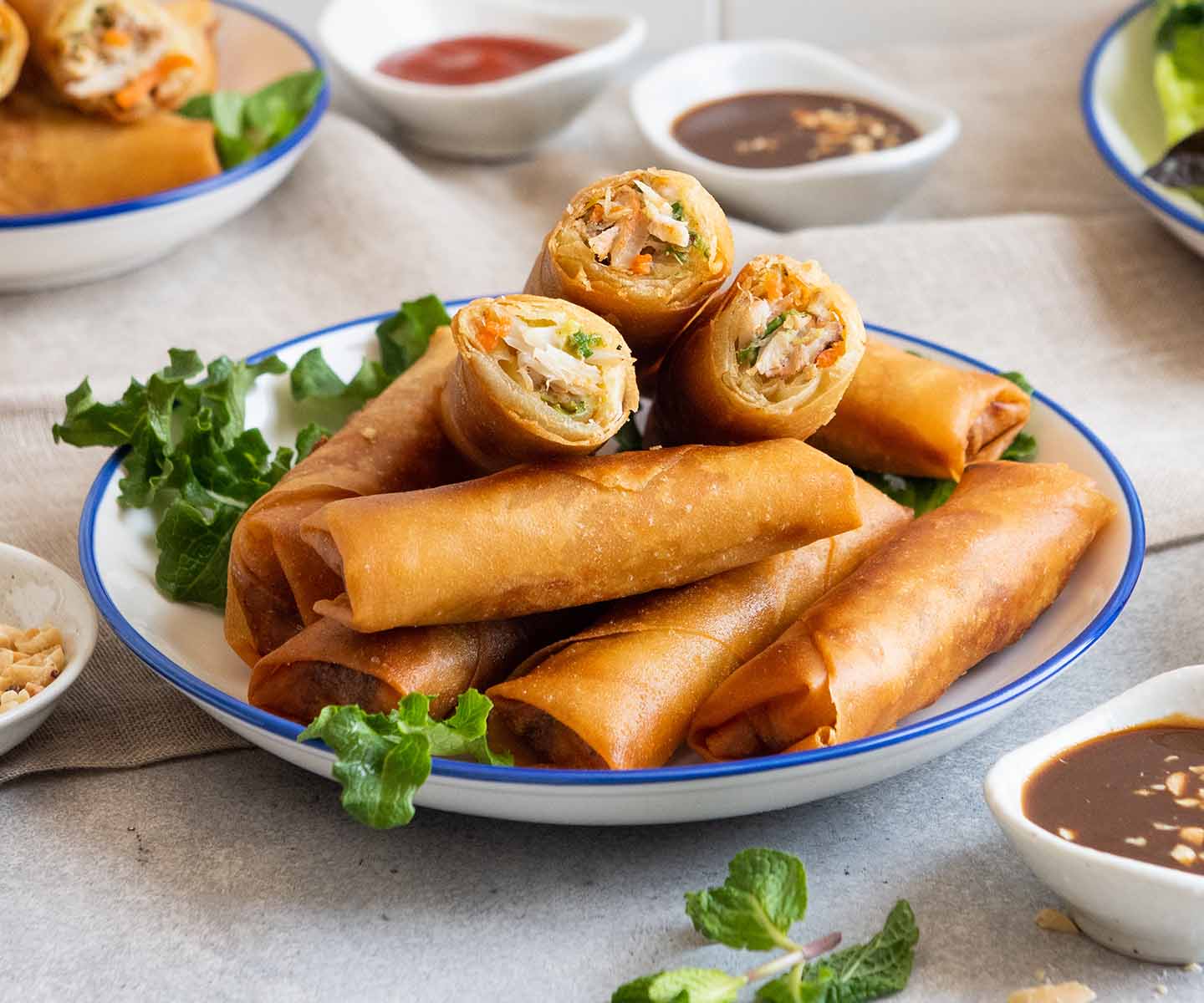 Crispy Spring Rolls