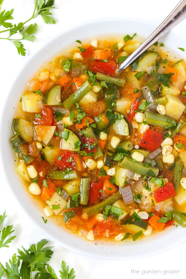 Garden Vegetable Soup Recipe