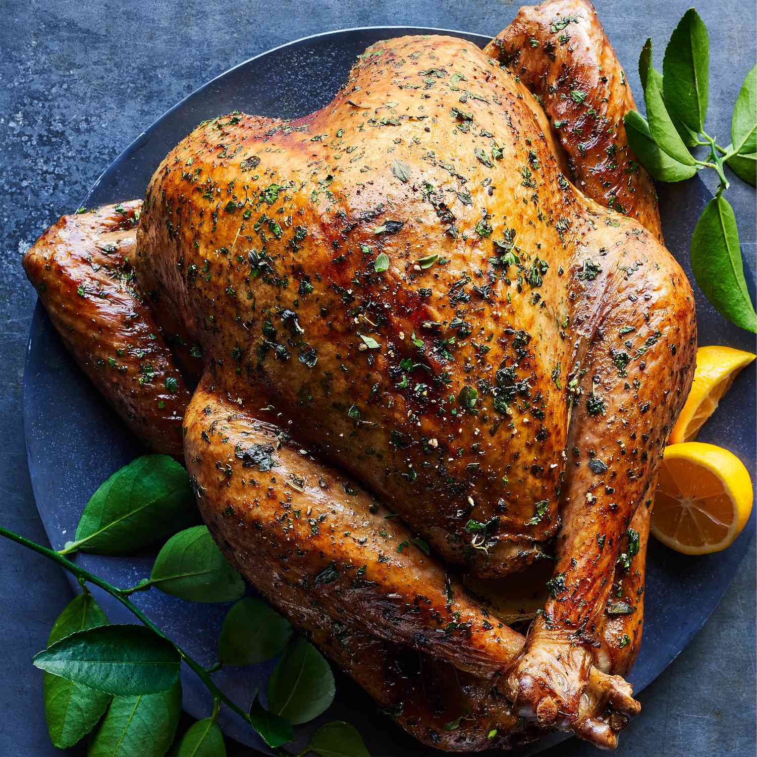 Fresh Herb Roasted Turkey Recipe