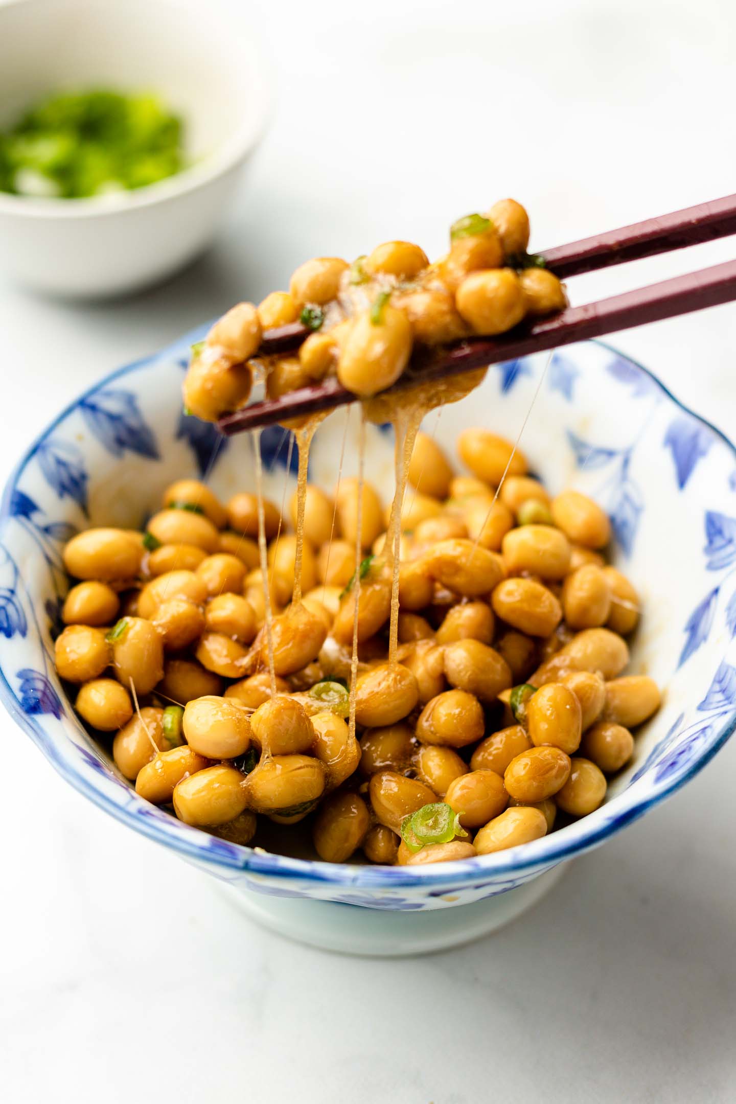 Natto Recipe